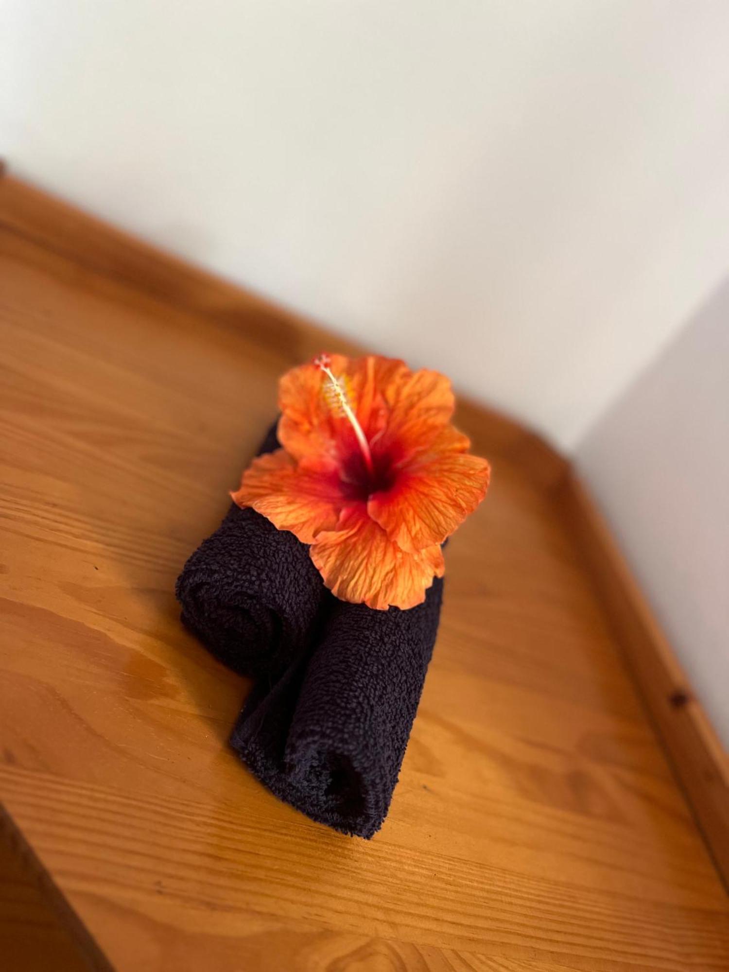 Tiki Lodge Hiva Oa Atuona Zewnętrze zdjęcie